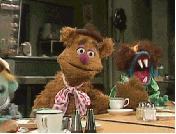 Fozzie Bear Reaction reaction GIF